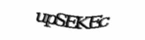 Security check image, please type the characters shown
